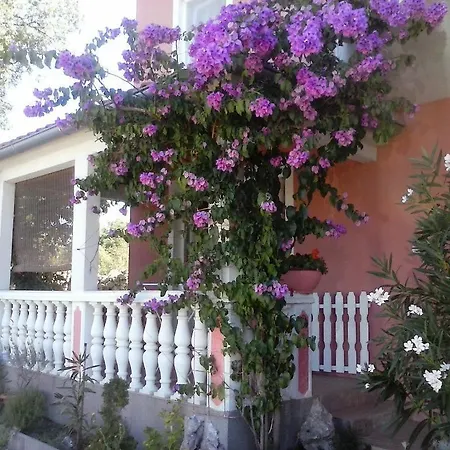 Apartment Jozefina